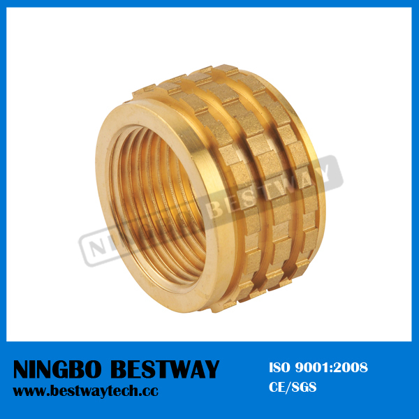 PPR insert fitting .jpg