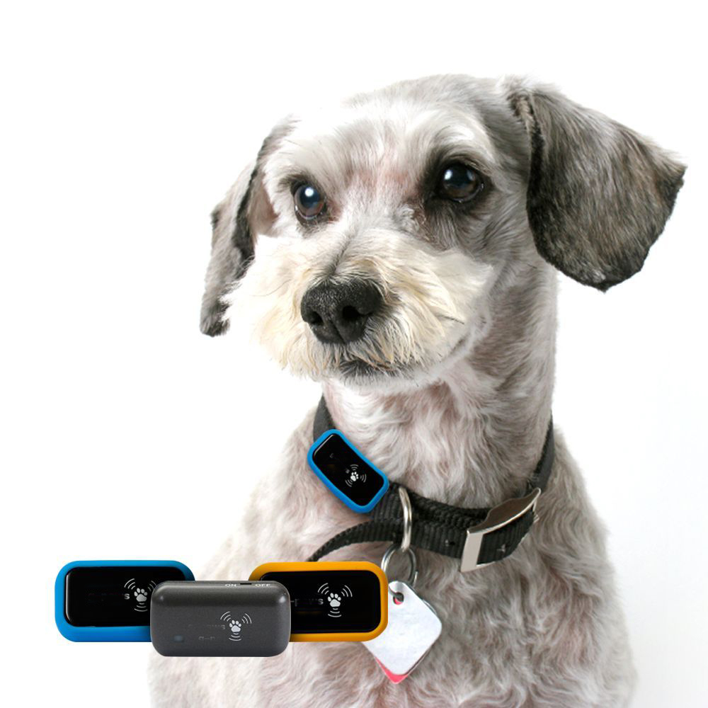 GH Dog GPS Tracker without sim card G-TA11 GBAWS GPS Data recorder