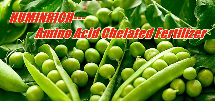 Chelated Zinc Fertilizer.jpg