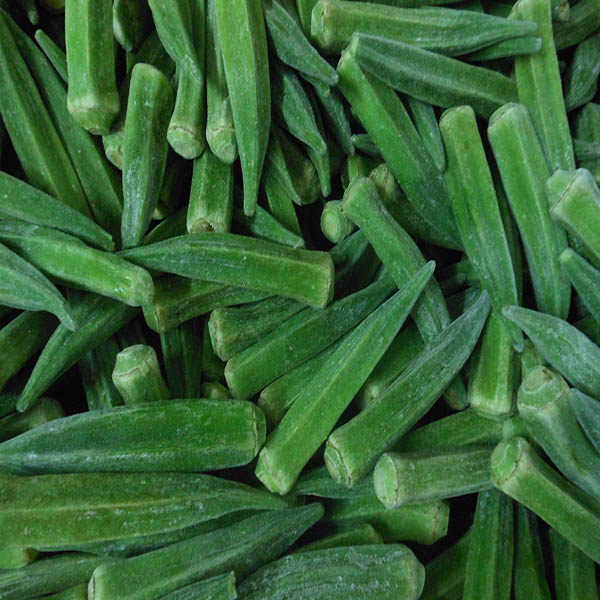 2014 frozen bean sprout factory wholesale