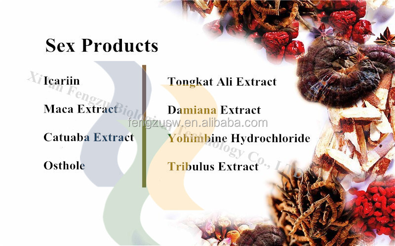 High qualtiy maca powder, Peru black maca extract100:1