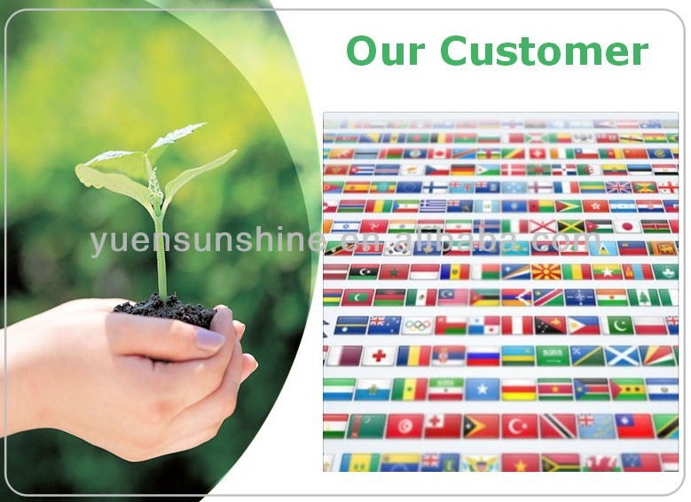 green tea extraction polyphenols powder 10%-98%