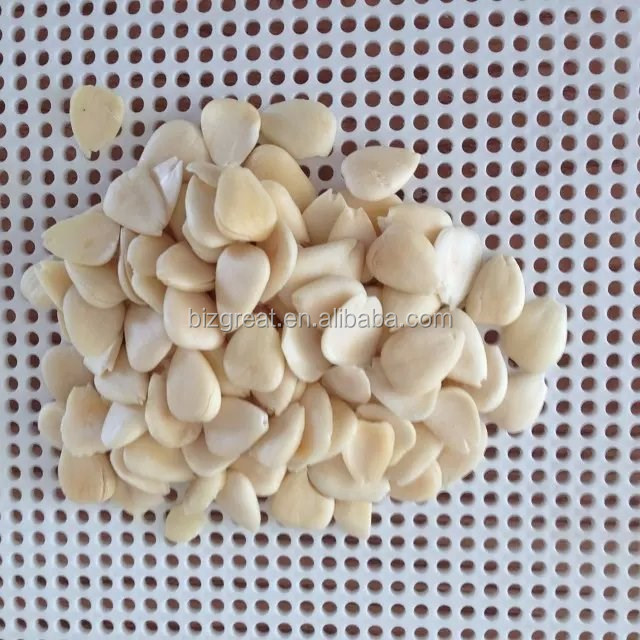 blanched,blanch good quality blanched almond/blanched apricot kernels for sale