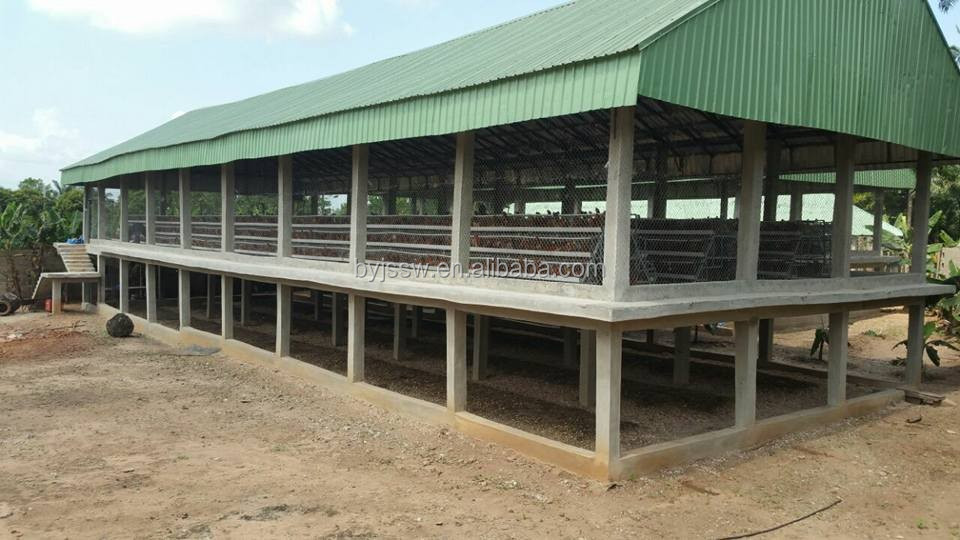 chicken cage-595.jpg
