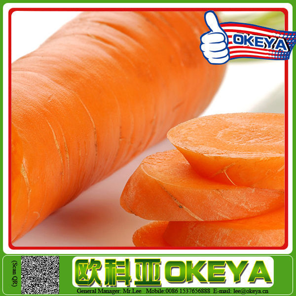 Original Okeye New Arrival carrot farms manufacturers
