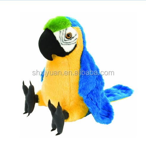 Macaw (3).png