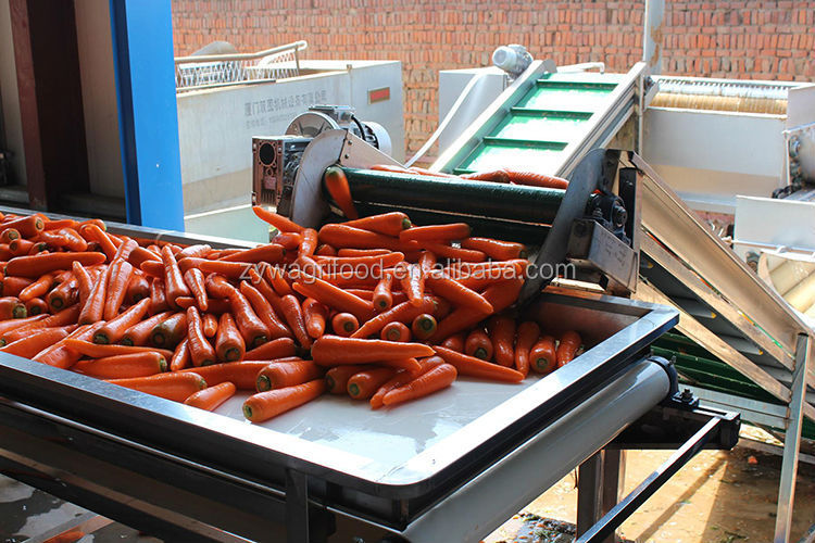 bulk carrot/carrots fresh/wholesale organic carrots