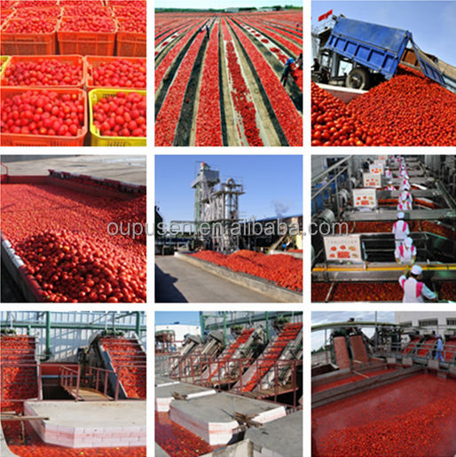 Tomato Paste Bulk Price