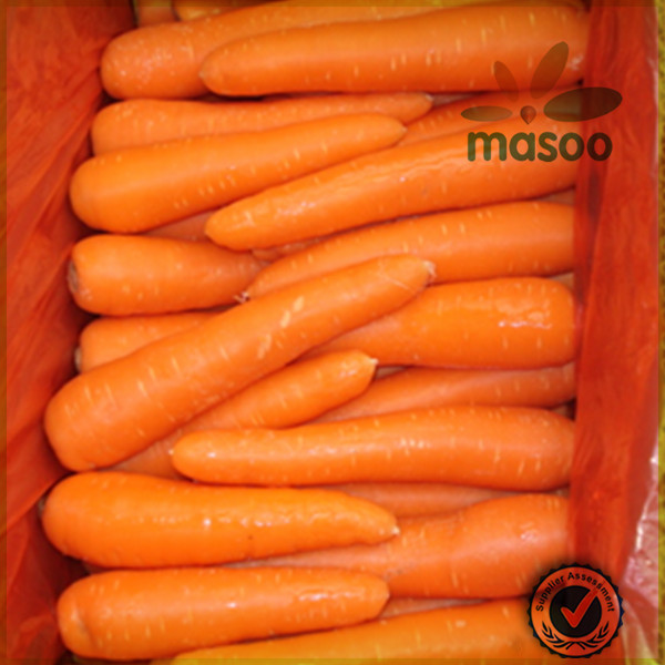 2014 new crop fresh plush carrot /fresh carrot price/carrot exporter in China