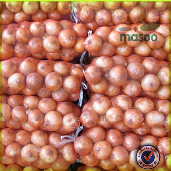 wholesale fresh onion /nutrientional china origin 2014 new fresh white onion exporter in China
