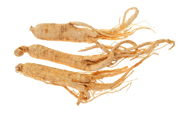 The best Ginseng Extract Powder By GMP Manufacturer
