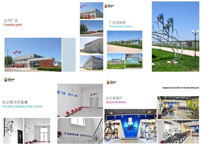 company over view.jpg