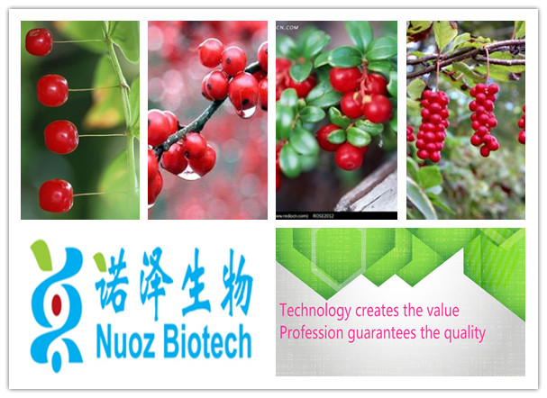 2014 20% Extract of the total lignans Schisandra extract