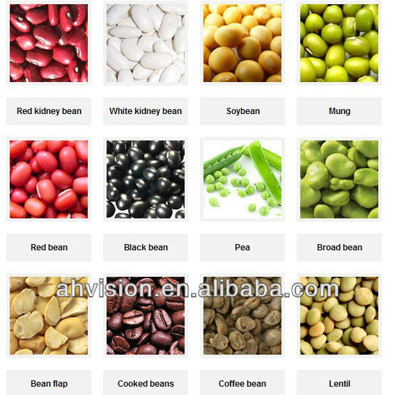 types of beans