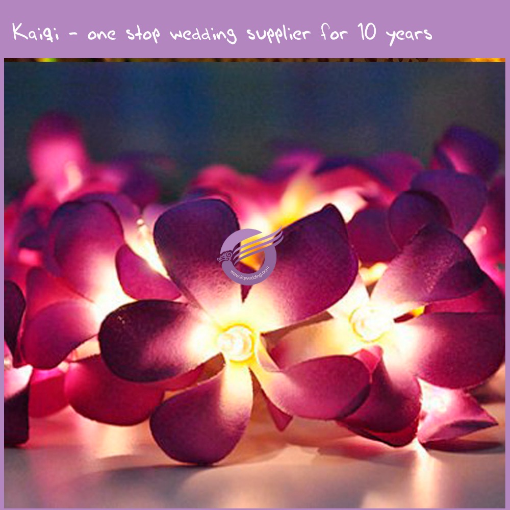 outdoor party string lights Quotes
