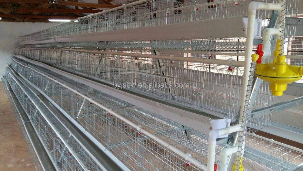 chicken cage-385-.jpg