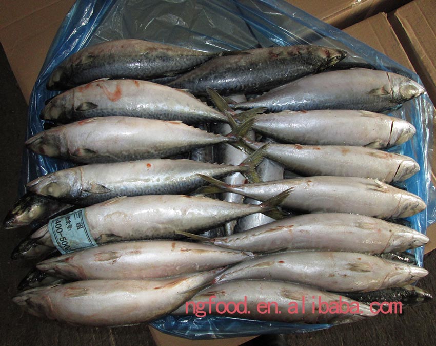 2015 400-500g 5-1
