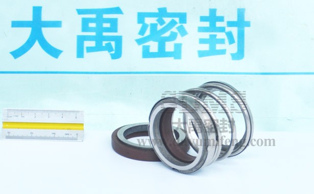 SHIMGE PUMP Mechanical Seal.jpg