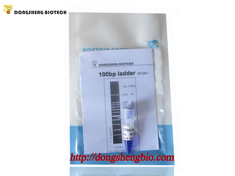 M1061 100bp ladder