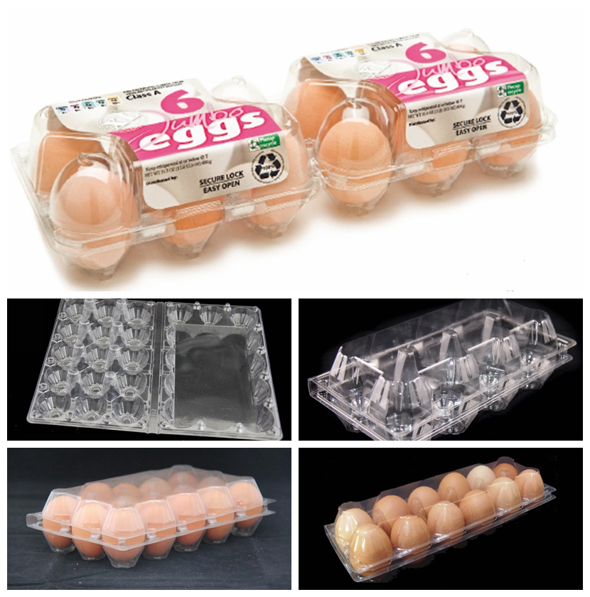 Clear Plastic Quail Egg Trays China egg tray Exportimes