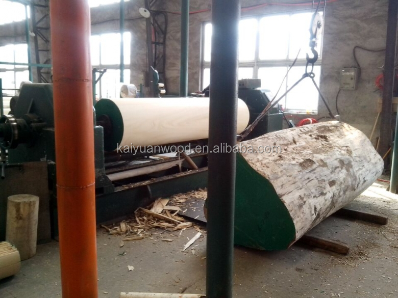 rotary cut_conew1.jpg