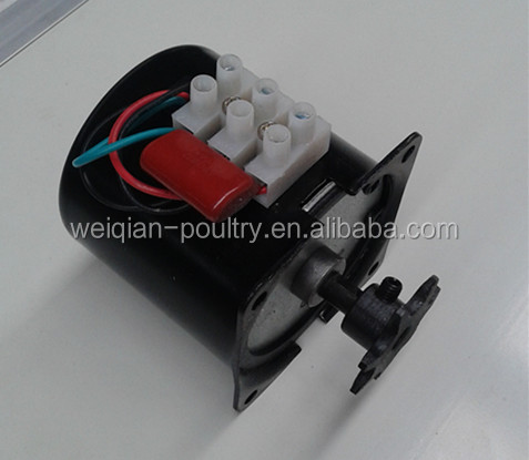 motor with gear.jpg
