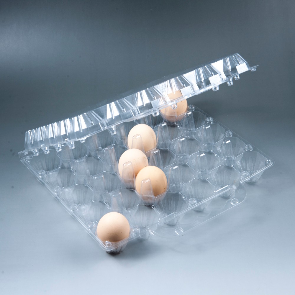 2016 Hot Sale Factory Price Clear Plastic Egg Tray Buy Egg Tray