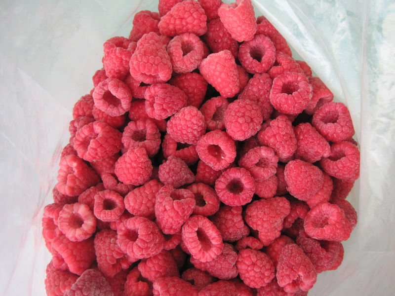 IQF Raspberry supplier from China