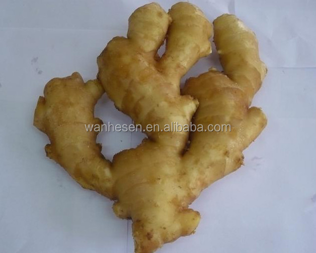 air dry ginger - fresh ginger market in China