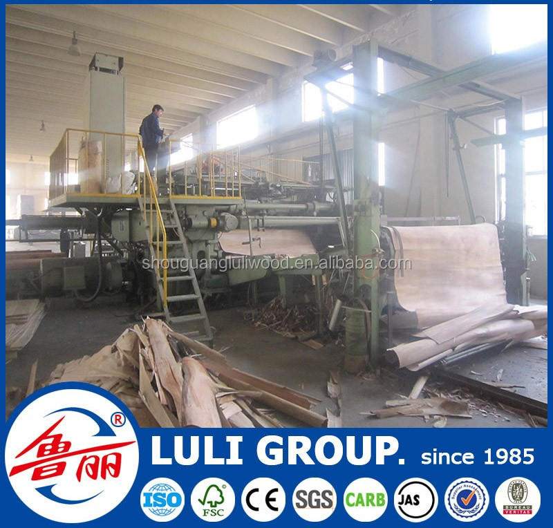 veneer-122-LULI GROUP.jpg
