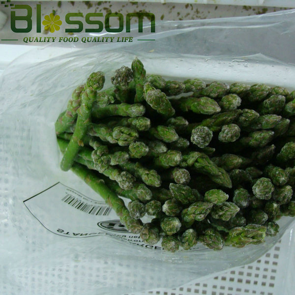 Top quality frozen green asparagus new crop asparagus price and fresh asparagus prices