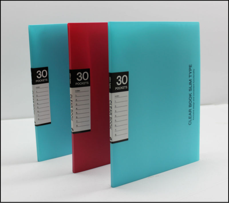 A430p File Folders Clear Book With Inner Bag&your Own Color/coloring