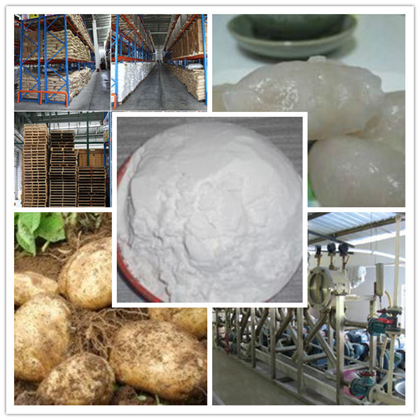 modified potato starch high viscosity fluid loss additive