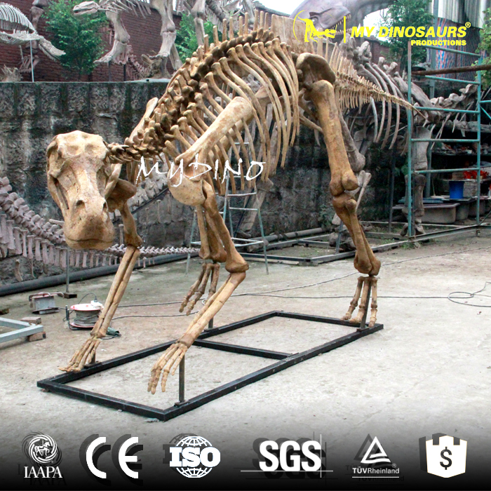 maiasaura skeleton.jpg