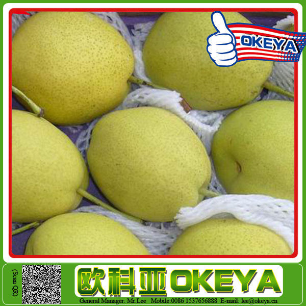 Top Quality Sweet Juicy pear fruit wrapping paper bag