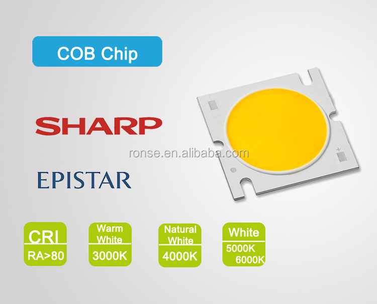 High Power SHARP LED COB Track Light 10W -60W