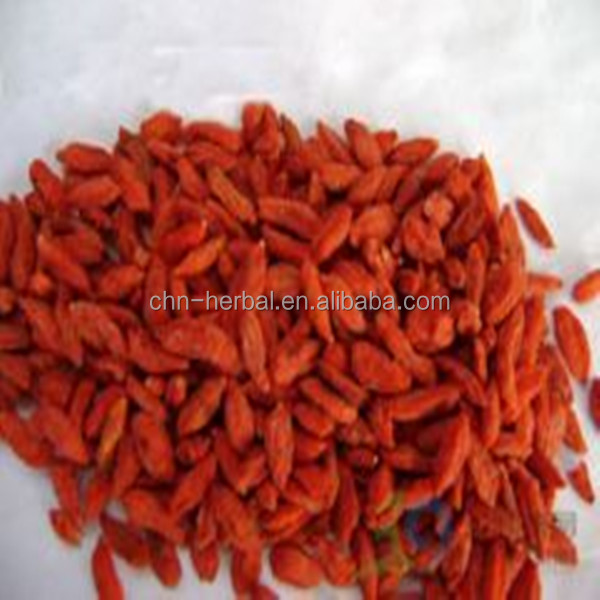 Herbal Capsules for Plant Extract and Goji Berry Powder