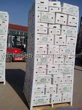 factory fresh ginger, quality fresh ginger, half dry ginger -air dry ginger
