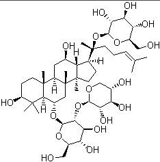 Panax Notoginseng extract