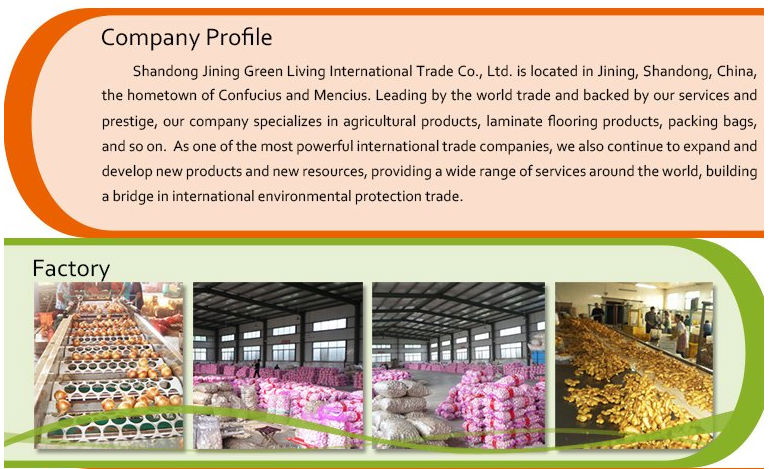 New Crop Fresh Carrot For Market