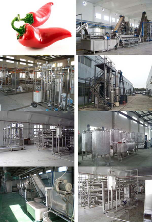black pepper processing machine price