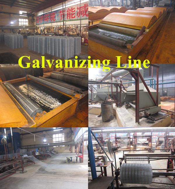 Galvanizing Lines.jpg