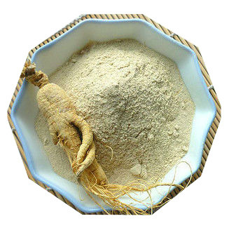 The best Ginseng Extract Powder By GMP Manufacturer