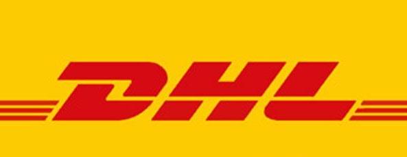 シールドの羽/矢羽/矢羽根のための伝統的なカスタム矢問屋・仕入れ・卸・卸売り