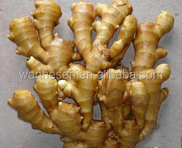air dry ginger - fresh ginger market in China