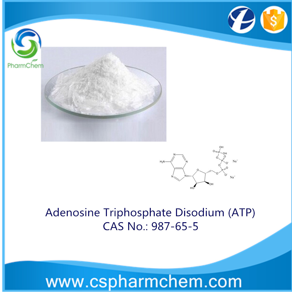 adenosine triphosphate disodium salt (atp) cas no. 987-65-5