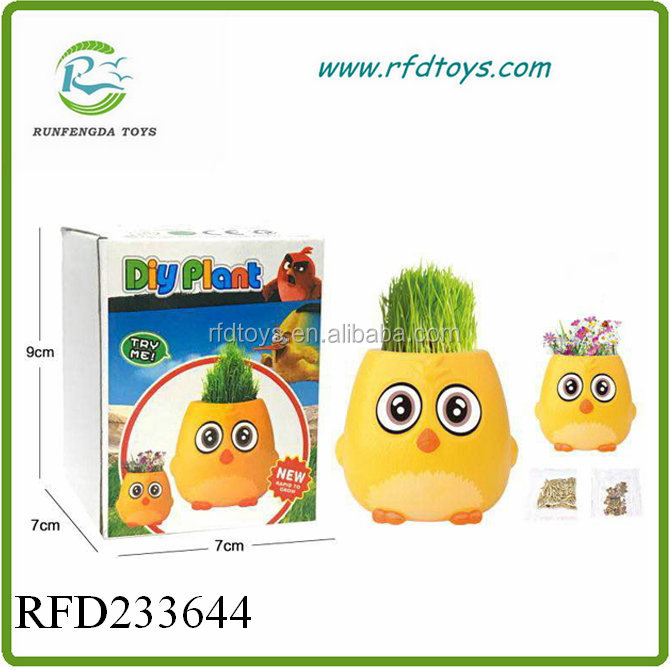 New Product Preshool Plant Diy Growing Grass Toy Buy Diy Growing