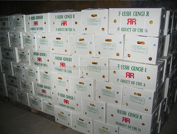 2014 High Quality New Crop Fresh ginger export For UK,CANADA,USA and EU Market best selling ginger
