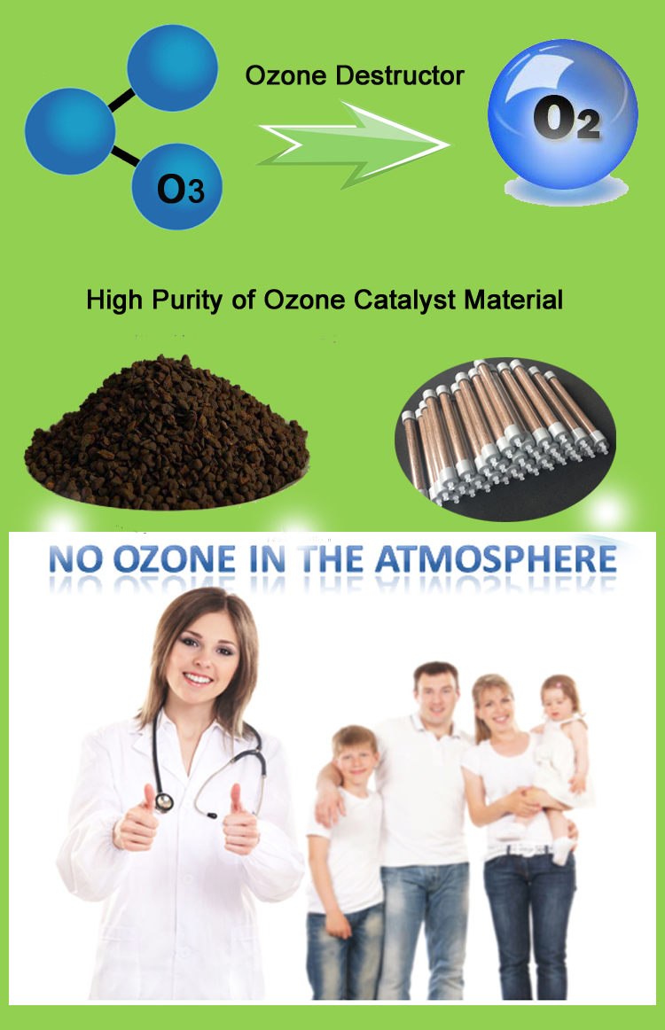 catalytic ozone destructor