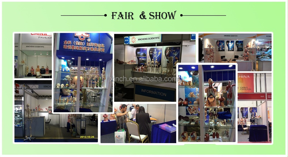 FAIR SHOW.jpg
